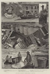Unsere Fischereiindustrie, Pilchard-Seining in Cornwall